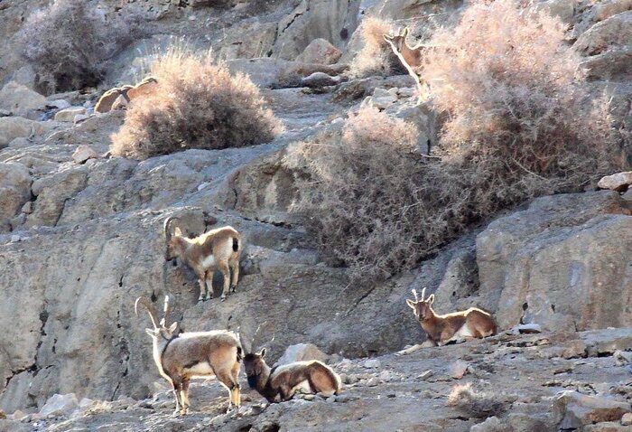 نقشهبرداری یکی از غارهای کشور با دستگاه اسکنر لیزری برای اولین بار