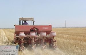 راهکار یک محقق برای جلوگیری از آتش زدن مزارع