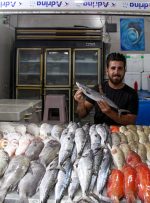 معاون وزیر جهاد کشاورزی: صادرات آبزیان ۳۰درصد افزایش یافت