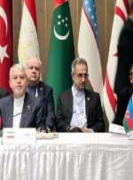 وزیر میراث فرهنگی: از ظرفیت اکو برای تقویت صلح و ثبات بهره ببریم