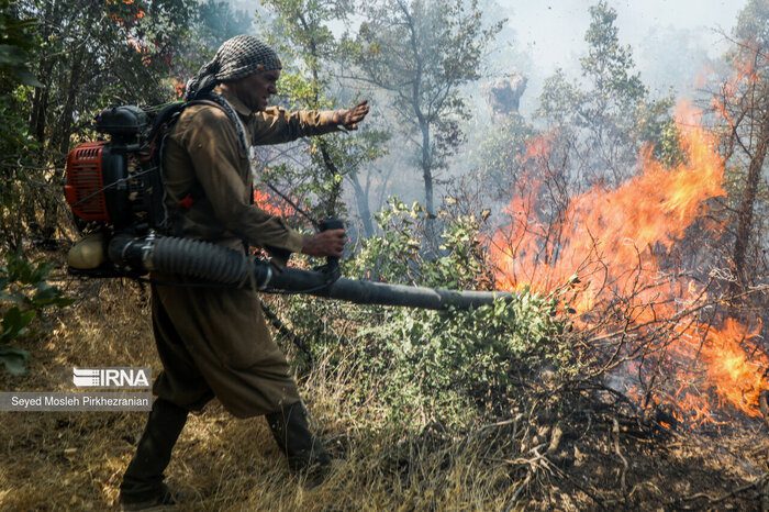 آتش‌سوزی پارک ملی دز کنترل شد