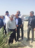 بازدید نمایندگان مجلس از بزرگترین نخلستان مجول جهان در «دشت پُلپُلک‌» بشاگرد هرمزگان