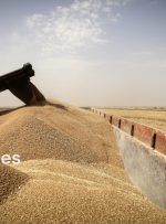 بیش از هفت همت از مطالبات گندم‌کاران خوزستانی تاکنون پرداخت شده است