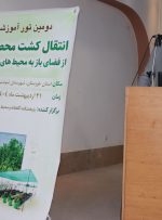 تولید سالانه ۵۰۰ میلیون نشا در خوزستان