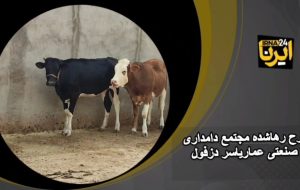 فیلم| طرح رها شده مجتمع دامداری عمار یاسر دزفول فیلم| طرح رها شده مجتمع دامداری عمار یاسر دزفول