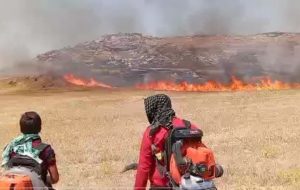 هوس یک لیوان چای، بخشی از دیم زارهای دزفول را به آتش کشید