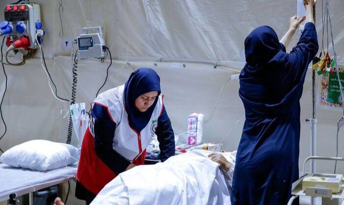 از صدور گواهی سلامت روان برای رانندگان تا وضعیت توله خرس گمشده پردیسان