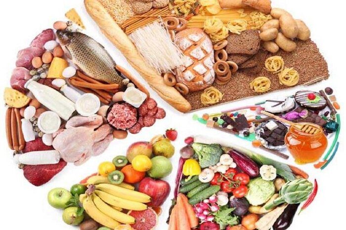 از صدور گواهی سلامت روان برای رانندگان تا وضعیت توله خرس گمشده پردیسان