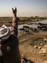 تخریب عامدانه محیط زیست؛ تهدید امنیت زیستی و نقض تعهدات بین‌المللی است