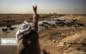 تخریب عامدانه محیط زیست؛ تهدید امنیت زیستی و نقض تعهدات بین‌المللی است