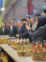نمایشگاه تخصصی گردشگری سلامت در همدان گشایش یافت