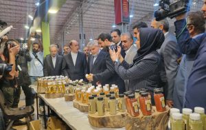 نمایشگاه تخصصی گردشگری سلامت در همدان گشایش یافت